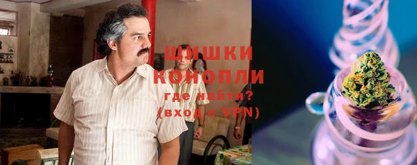 дурь Рославль