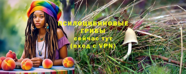 шишки Волосово
