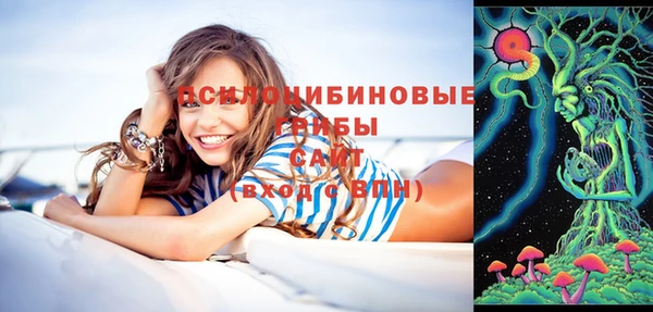 шишки Волосово
