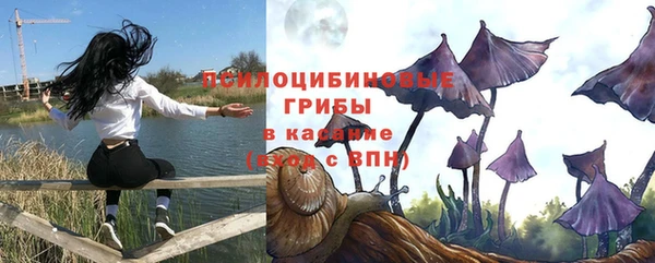 амф Володарск