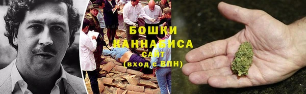 шишки Волосово