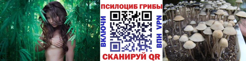 Псилоцибиновые грибы Magic Shrooms  Кизел 